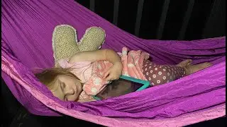Tree House 24-hour Challenge - 12 Hour Update