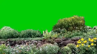 green screen flower garden