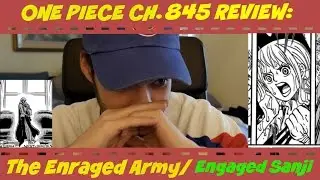 One Piece Chapter 845 Review: The Enraged Army & The Engaged Sanji