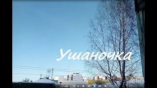 Шансон Леха2стакана - Ушаночка