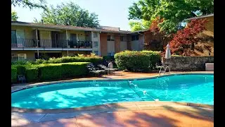 Unwanted Trespassers into  our Swimming Pool June 2024