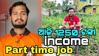 Part time job in Bhubaneswar/ Today's earning/ ଆଜି ବହୁତ ଭଲ ପଇସା income ହେଲା/ BK Gulu Official 