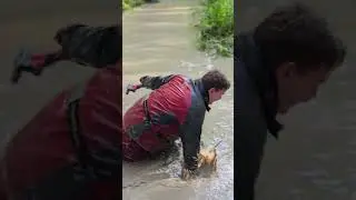 Грязевой заплыв
