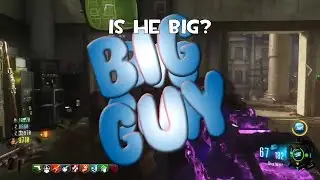 Wildcat Big guy
