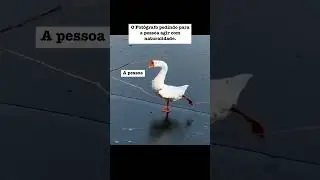 Quem ai ja passou por isso?