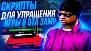 СКРИПТЫ ДЛЯ УПРОЩЕНИЯ ИГРЫ В GTA SAMP
