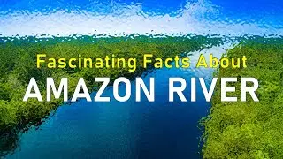 FASCINATING FACTS ABOUT AMAZON RIVER | AMAZON RIVER | Amazing facts