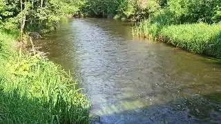 Река Дубна, Латгалия (2)