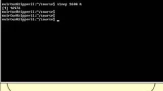 Linux and Unix Basics : Running Commands Asynchronously