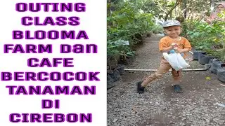 ABANG OUTING CLASS KE BLOOMA FARM DAN CAFE CIREBON, BERCOCOK TANAM, Seru ..