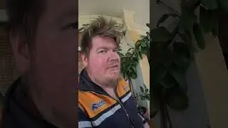 Попугай корелла внятно разговаривает 