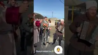 ансамбль Казаченька