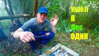 Ушел в Дикие джунгли. Обустройство лагеря! Готовлю тушенку