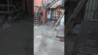 Первые шаги