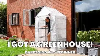 I GOT A GREENHOUSE! | Greenhouse for beginners