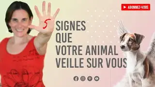 5 Signes surprenants que votre Animal défunt veille sur vous 😻