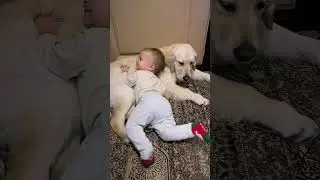 Самое милое за сегодня❤️