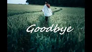 Goodbye - Antero Baldemor