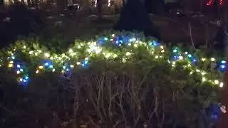 First Sunday of Advent. Christmas lights are ON.