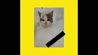 Себастьян умер и Кира😭😭😭