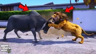 Franklin's Pet Cow vs King Of The Jungle in GTA 5!