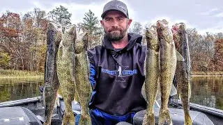 Fishing Fall Walleyes in Minnesota (Limit)