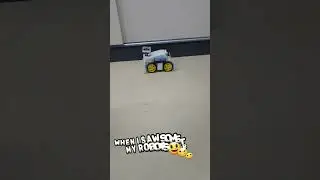 My curious robots 😆😆😅😅😅