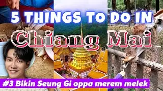 5 HAL YANG MENARIK DI CHIANG MAI DAN ALASANNYA | 5 INTERESTING THINGS TO DO IN CHIANG MAI THAILAND