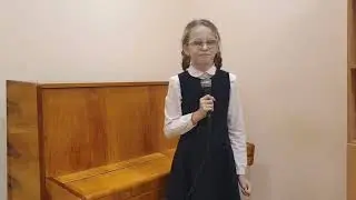 "Тормоз Вася" Кассирова Дарья 11 лет.