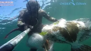 KIRLANGIÇ ve KALKAN AVI   4