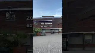 Zoo Ostrava#shorts#animals#youtube#video#ostrava#czech#park#zoo#