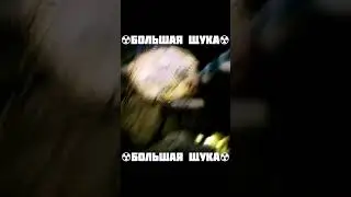 ☢️БОЛЬШАЯ ЩУКА☢️ #рыбалка #bigfish #fishing #щука