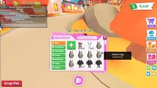 GIVEAWAY!! FREE MFR FROST DRAGON LEGIT - ROBLOX [CHECK DESCRIPTION]