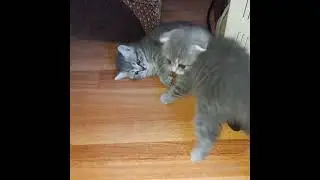 И кто это там прячется?