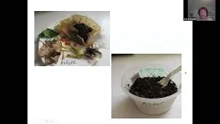 2024 Gardening Green Expo - The Joy of Composting: Turning Garbage to Gold - Ann McGovern, MassDEP