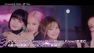 BLACKPINK  「THE ALBUM   JP Ver    」 Teaser