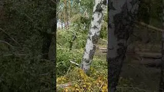 после урагана!