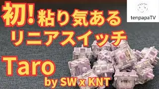 SW x KNT Taro Linear Switch Review!
