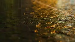 Rainy Road