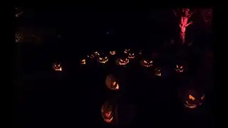 Halloween at the Royal Botanic Garden in Kew