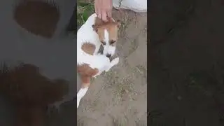 #рекомендации