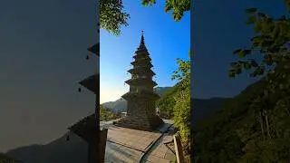5대 적멸보궁 만들고 세계사 유래없는 1천년 신라국을 염원하신 자장율사 입적하신곳 #정암사