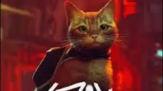 Stray:Der a kat