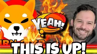 Shiba Inu Coin | SHIB Price Is Down, But This Is On The Rise!
