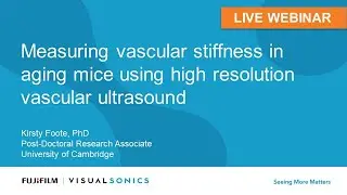 December 2020: Measuring vascular stiffness in aging mice using high resolution vascular ultrasound