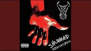 SHUNNED - Nosh An Dinya (Official Audio)