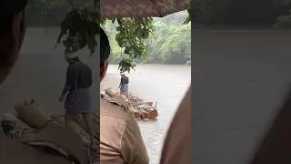 दुनिया कि सबसे महंगी लकड़ी कोनसी है?🤔 | most expensive wood in the world? | #shorts