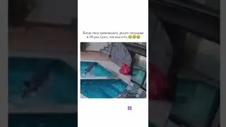 очкошник