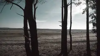 Polska Pustynia Błędowska /Польша Блендовская пустыня