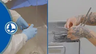 Sterile Processing Technician Certificate at NTC